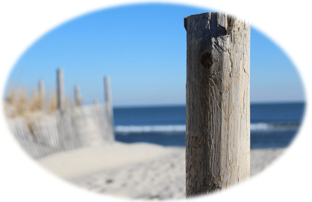 Browsing Beach Haven West Real Estate | Beach Haven West NJ | Stafford Township