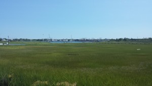 Vacant Land Sales in Beach Haven West