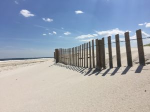 Listing Prices in the Beach Haven West Real Estate Market
