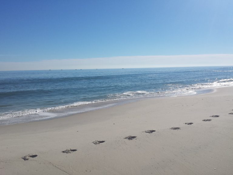 Interest Rate Update in the Beach Haven West NJ Real Estate Market Beach Haven West