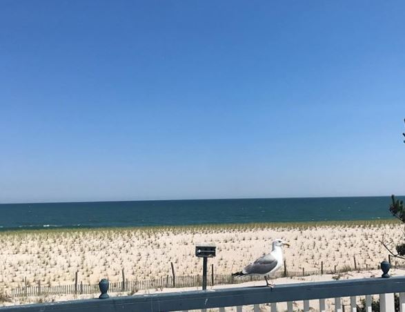 Beach Haven West NJ Real Estate Weekly Sales Update 2/10/2019-2/17/2019